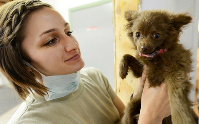 image for National Veterinary Technician Week