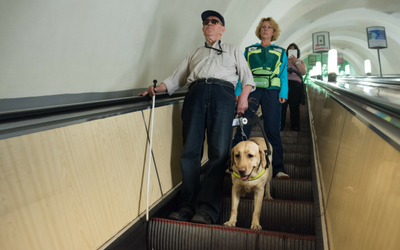 image for April 25th is International Guide Dog Day