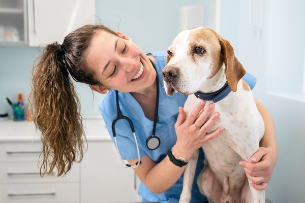 image for Veterinary Technician Appreciation Week: October 15-21